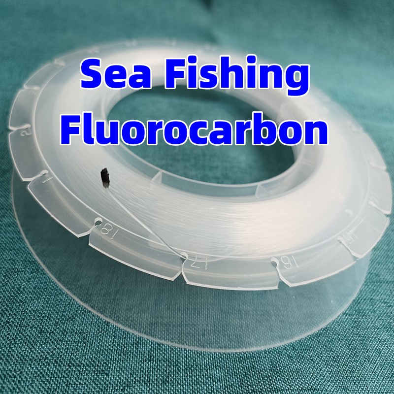 100M Vissen Fluorocarbon Big S - Fluorocarbon Line recensie en prijs